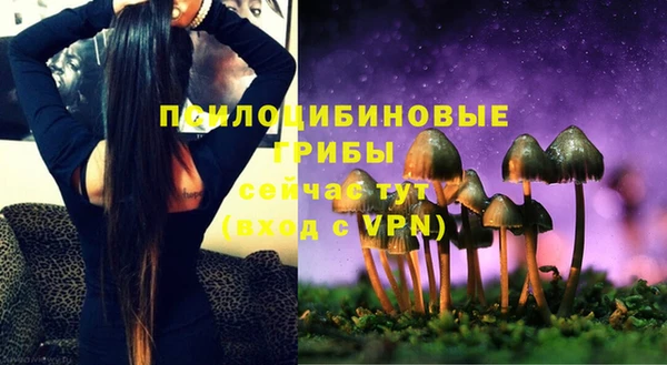 меф Майский