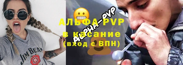 спиды Аша